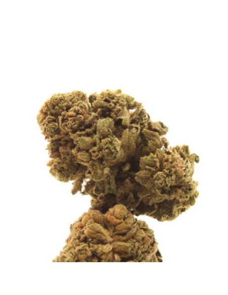 The Tree CBD Flores CBD Skywalker Og CBD