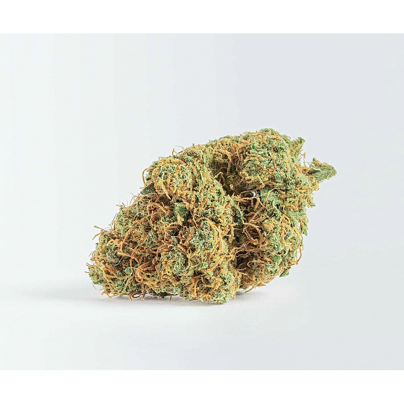 The Tree CBD  Malibu Exotic