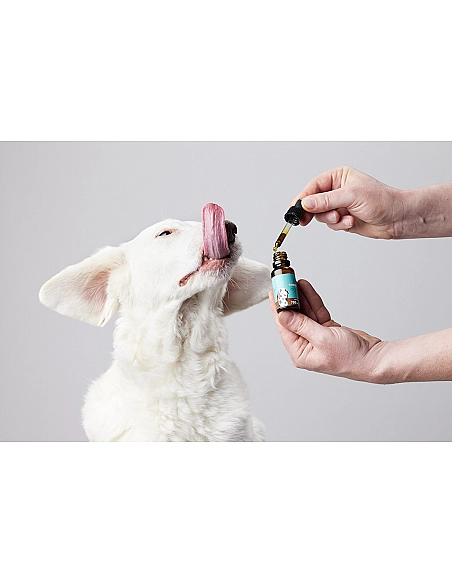 Candid Tails Petidibidiol aceite para perros medianos 700 mg