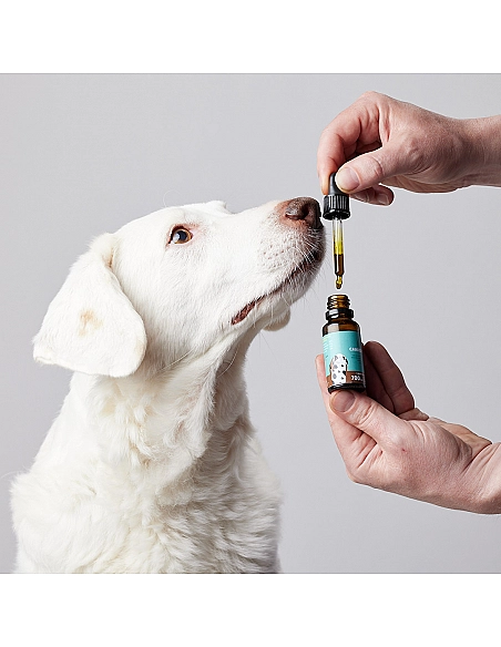 Candid Tails Petidibidiol aceite para perros medianos 700 mg