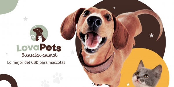 LovaPets: Una marca de calidad para el cuidado de tu mascota