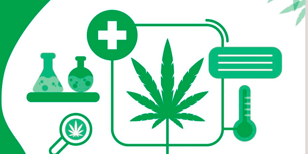 3 Marcas de aceite de CBD que se venden en farmacias